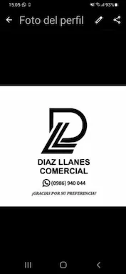 Diaz Llanes Comercial