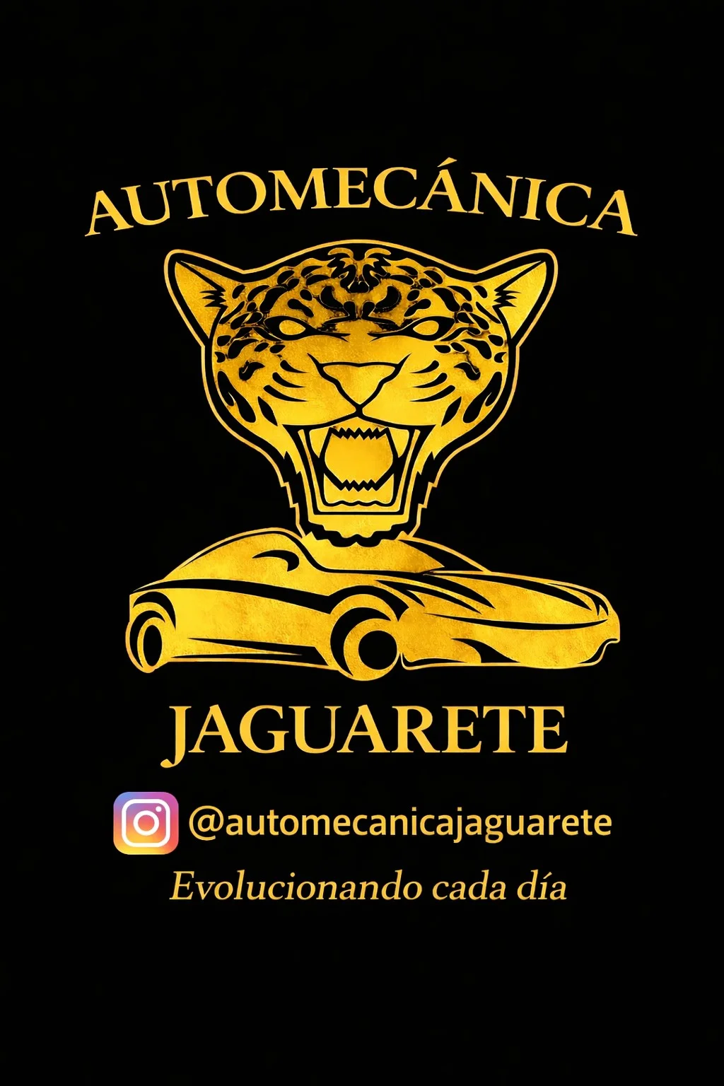 Mecánica Integral - Automecánica Jaguarete