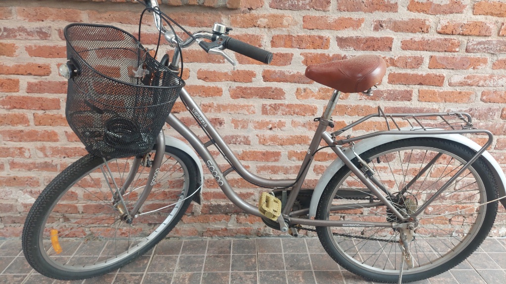 Bicicleta Urbana Scoop Venezia Usada