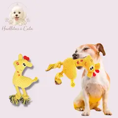 Comedero Antideslizante para Mascotas - 4