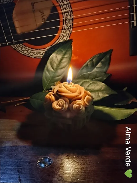 Vela de Cera de Abeja - Flores - 1