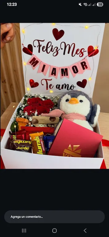 Cajas Personalizadas para Regalo imagen solo modelo - 4