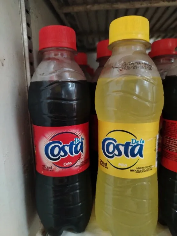 Gaseosas De la Costa 250ml