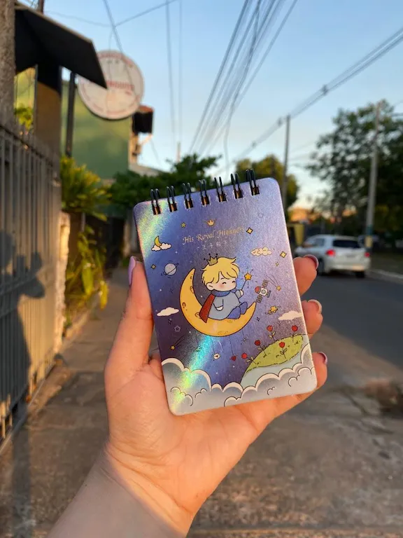 Mini cuaderno temático El Principito - 1