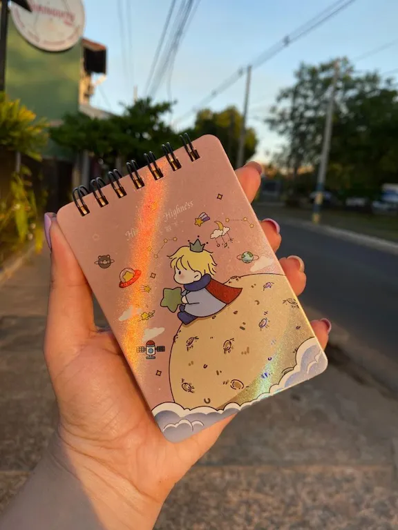 Mini cuaderno temático El Principito - 2