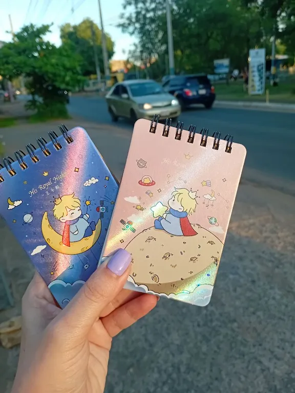 Mini cuaderno temático El Principito - 3