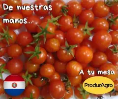 ProdurAgro - 3