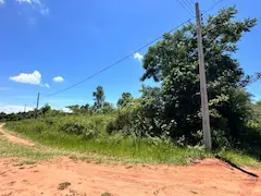 Tetreno en la ciudad de Altos - 4