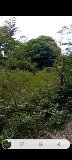 Yaguaron paraguay con titulo el terreno - 2