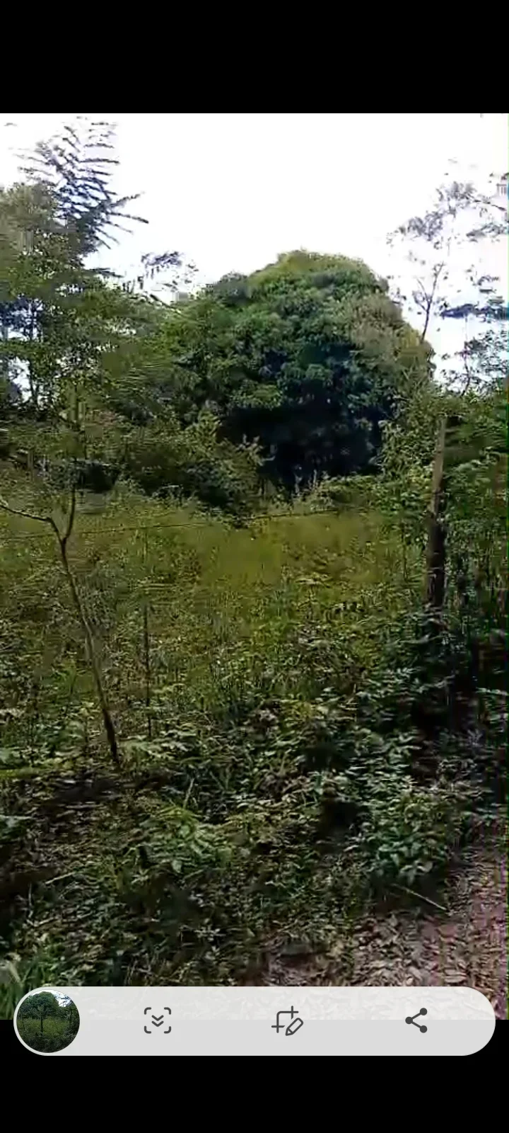 Yaguaron paraguay con titulo el terreno - 2