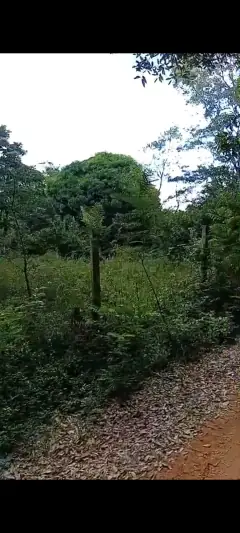 Yaguaron paraguay con titulo el terreno