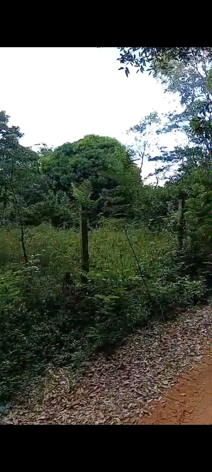 Yaguaron paraguay con titulo el terreno - 1