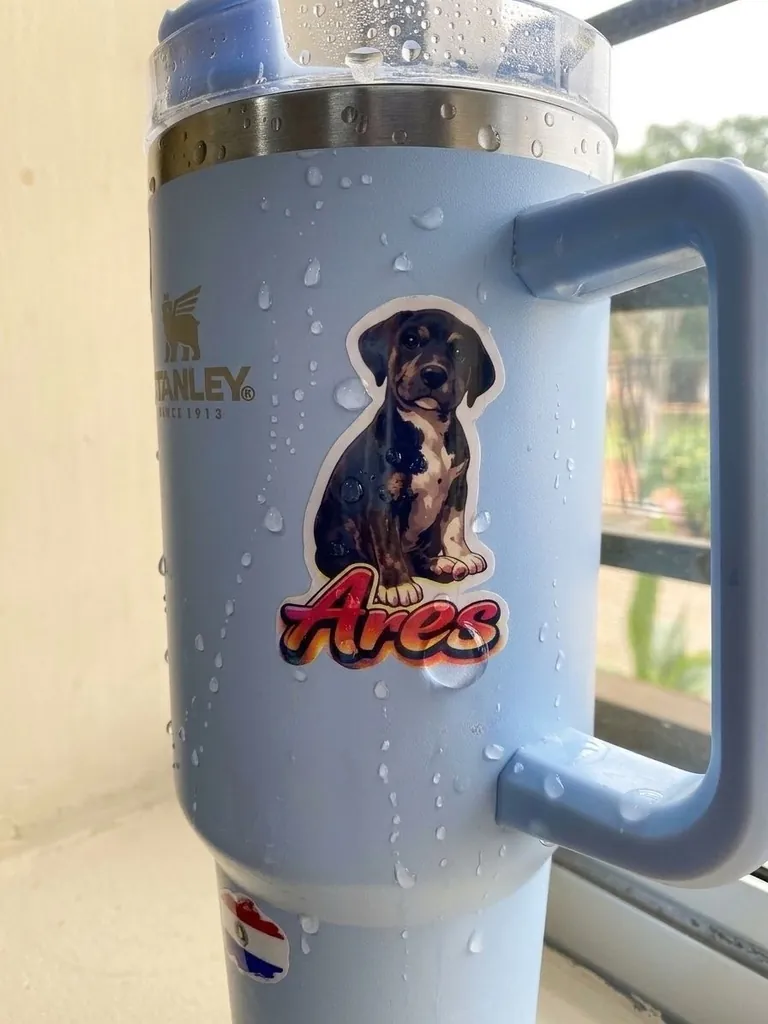 Stickers personalizados 🎨