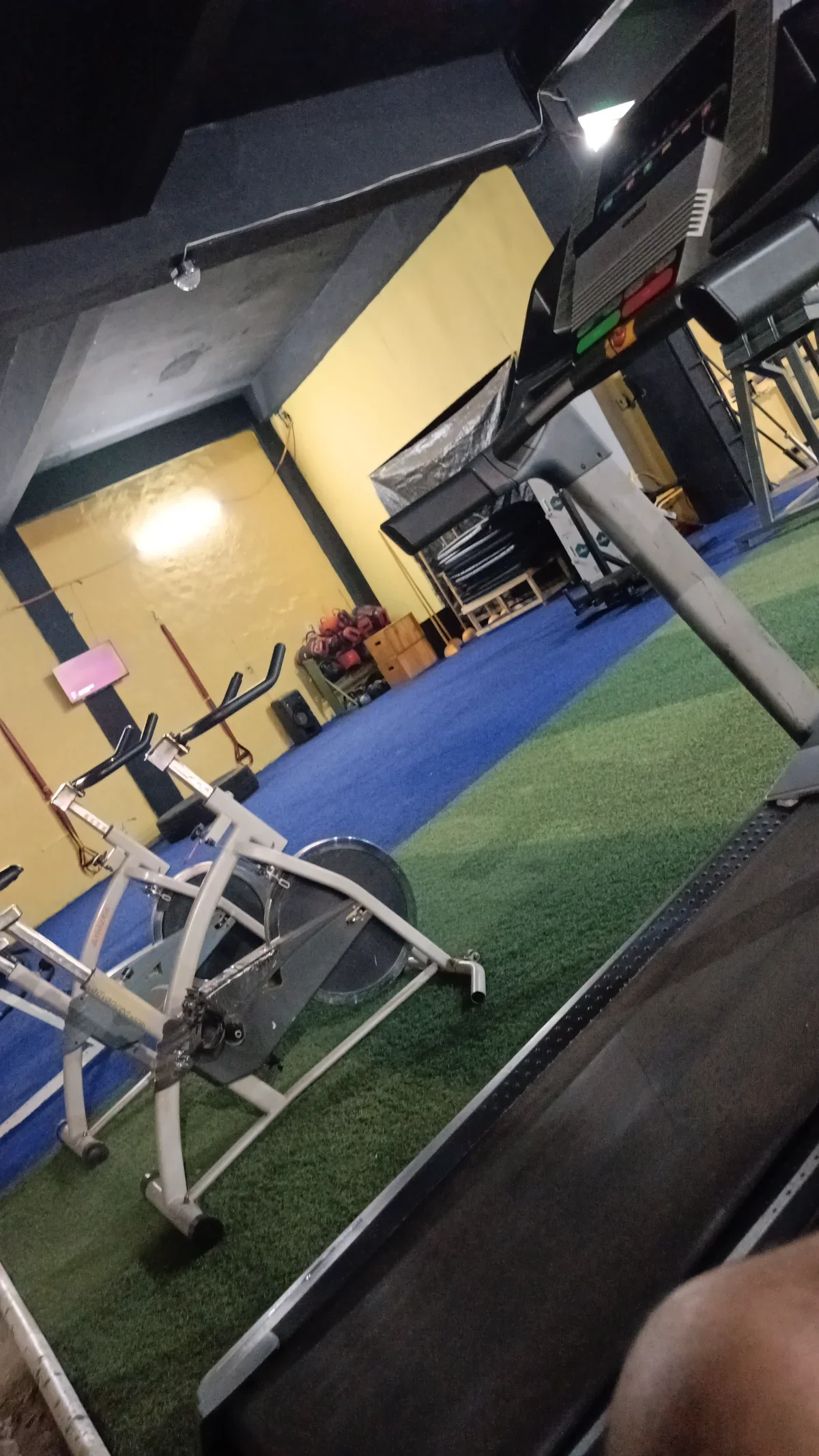 Profesor de educación física y personal trainner📱 - 3