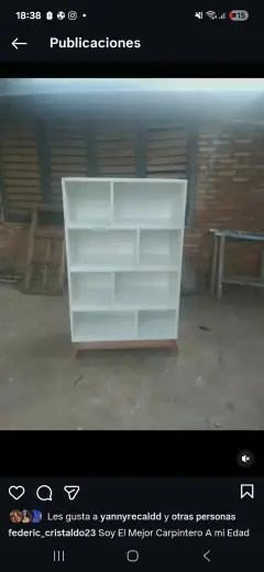 Carpintero Profesional - 3
