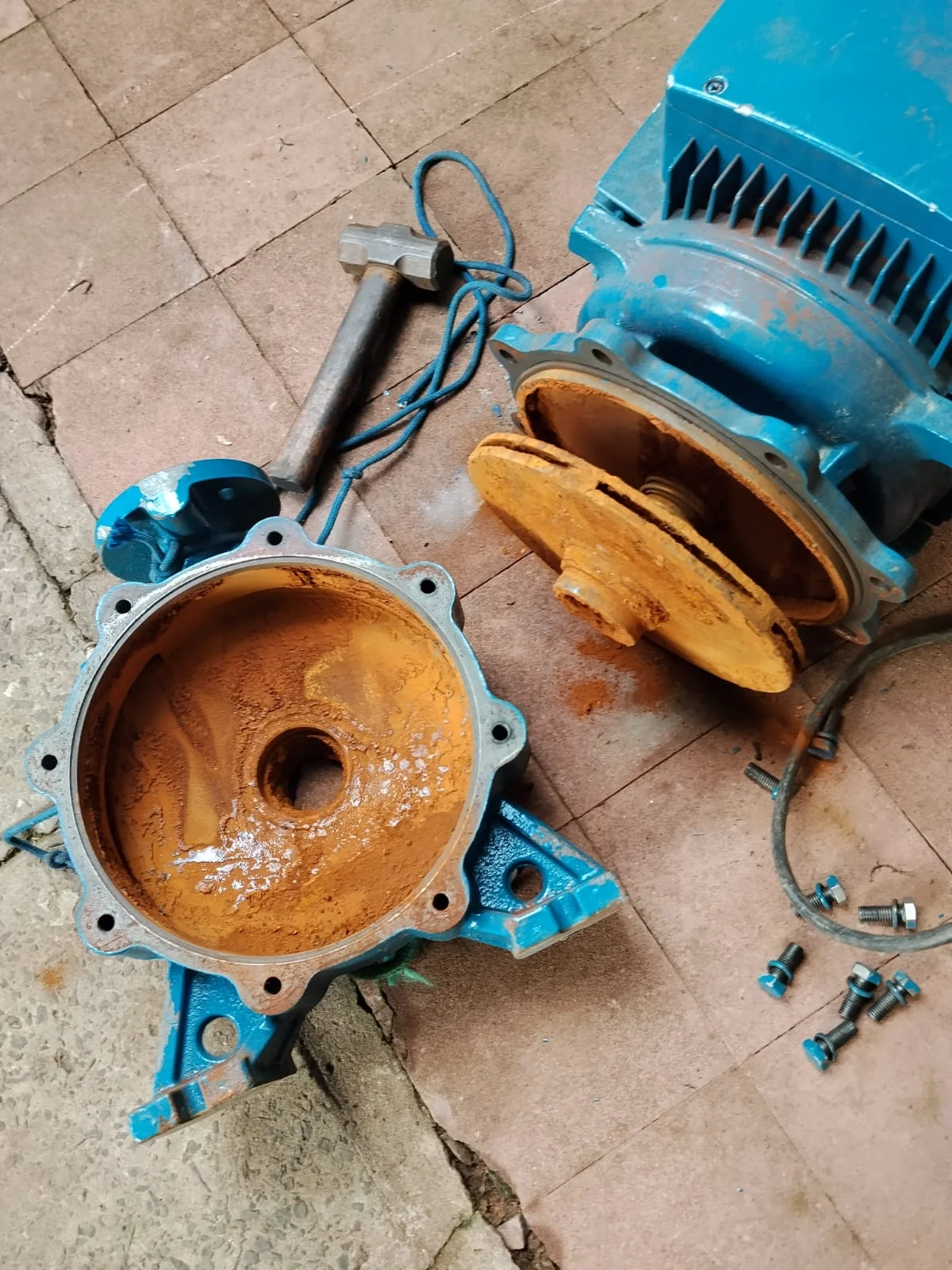 Servicio Técnico Especializado en Motobombas de agua - 2