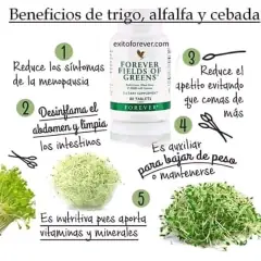 Asesoramiento Personalizado con productos naturales - 1