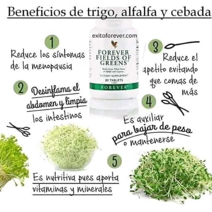 Asesoramiento Personalizado con productos naturales - 1