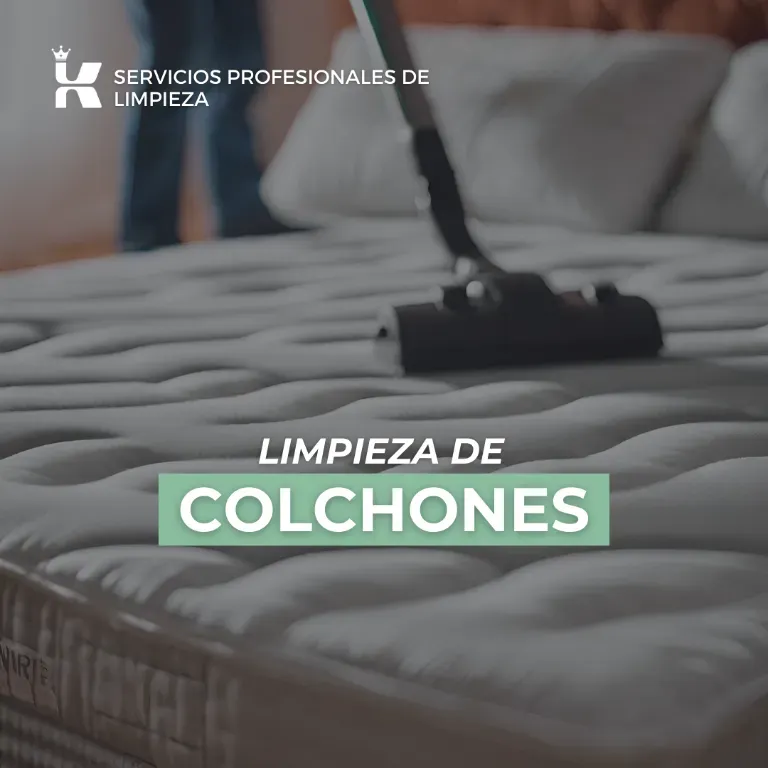 Servicio de Limpieza Integral de todos los ambientes - 3