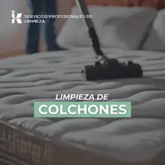 Servicio de Limpieza Integral de todos los ambientes - 3