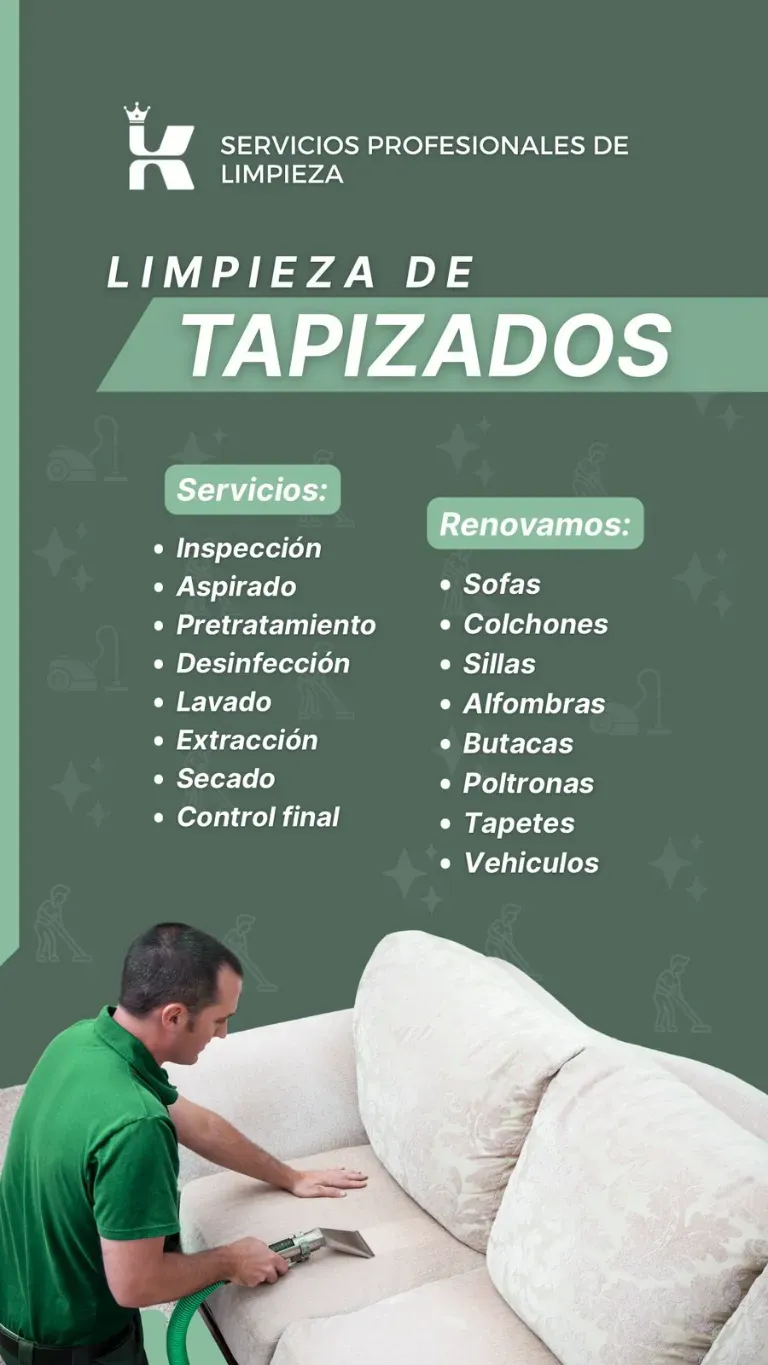 Servicio de Limpieza Integral de todos los ambientes - 4