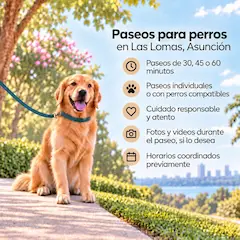 Paseo de perros en Las Lomas - 1