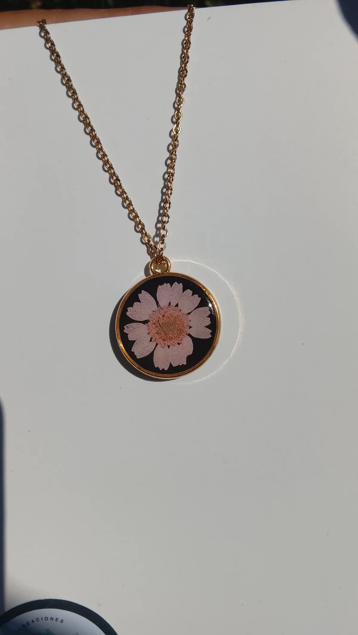 Eternizaciones y Regalos con Fotos - 3